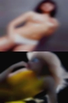Sexy nude girls